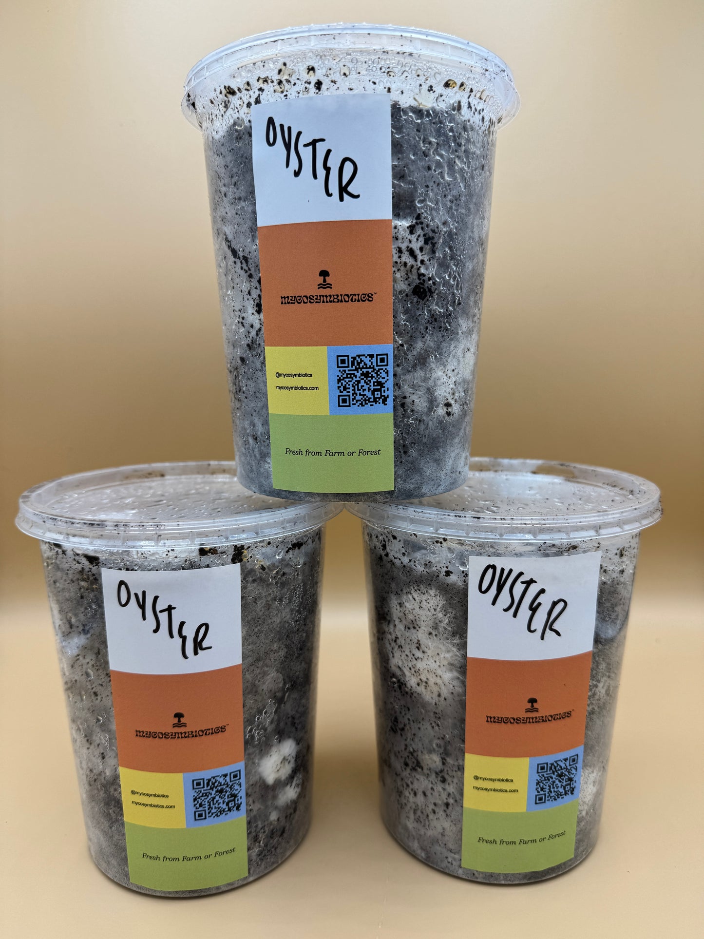 Ready-to-Fruit Oyster Mushroom Grow Cup