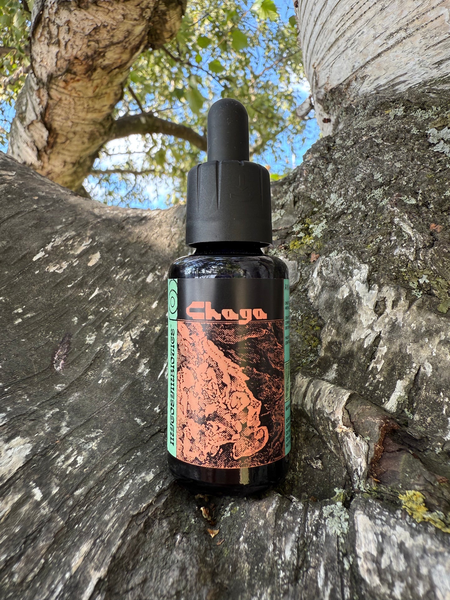 Mushroom Dual Tincture