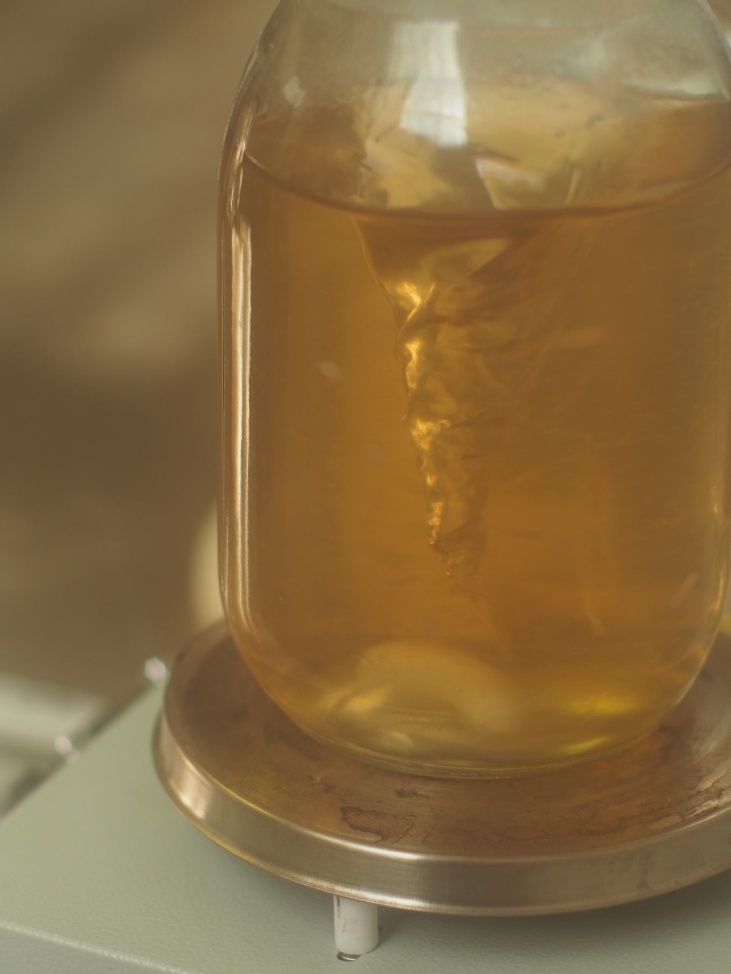 Liquid Culture Mycelium Syringe *Your Choice*