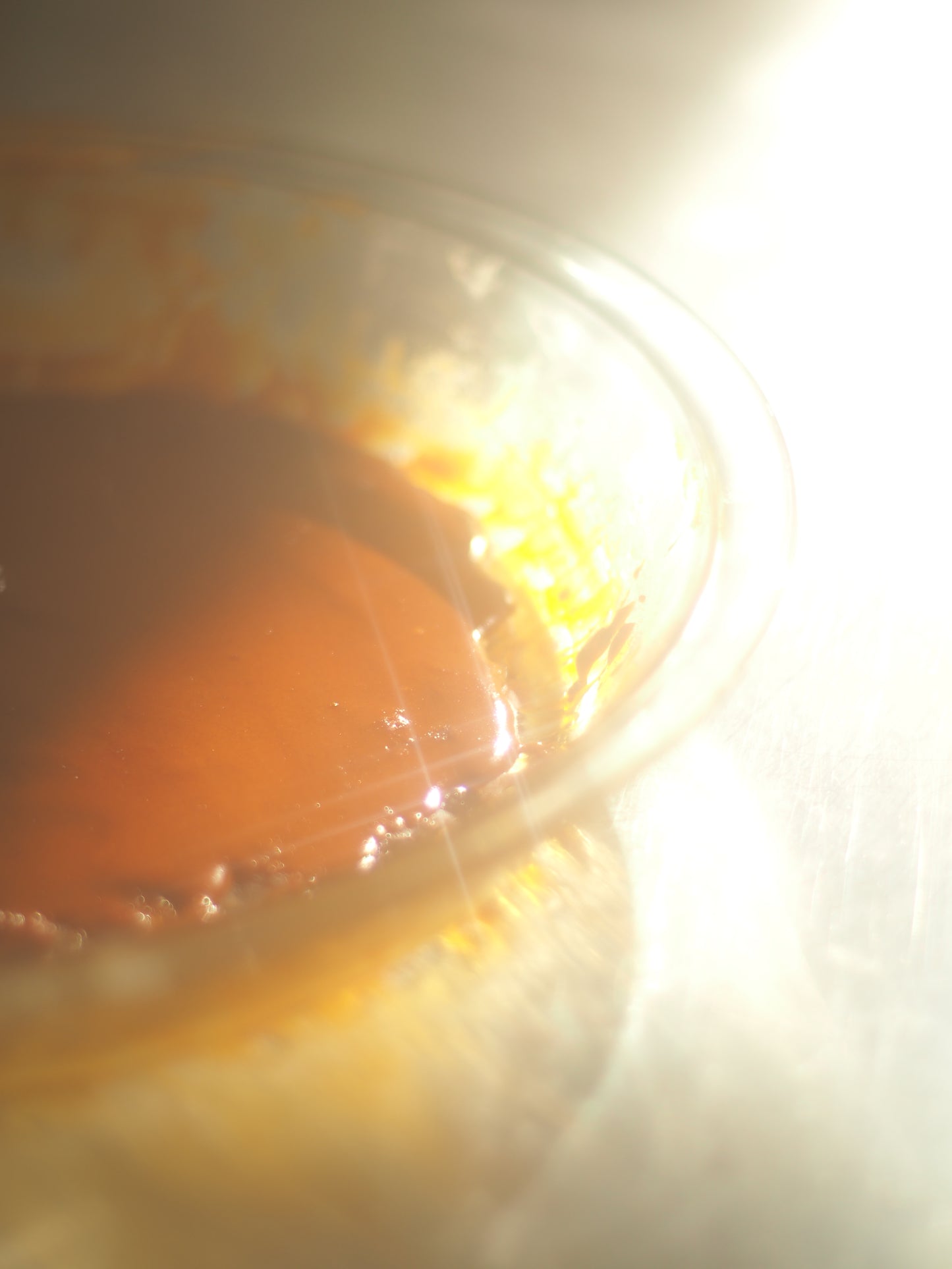 Pure Mushroom Oleoresin