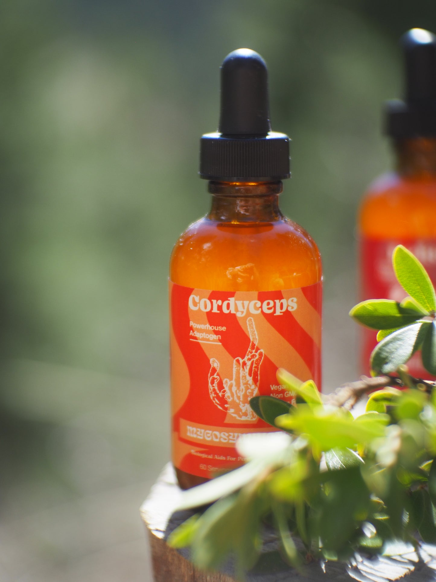 Mushroom Dual Tincture
