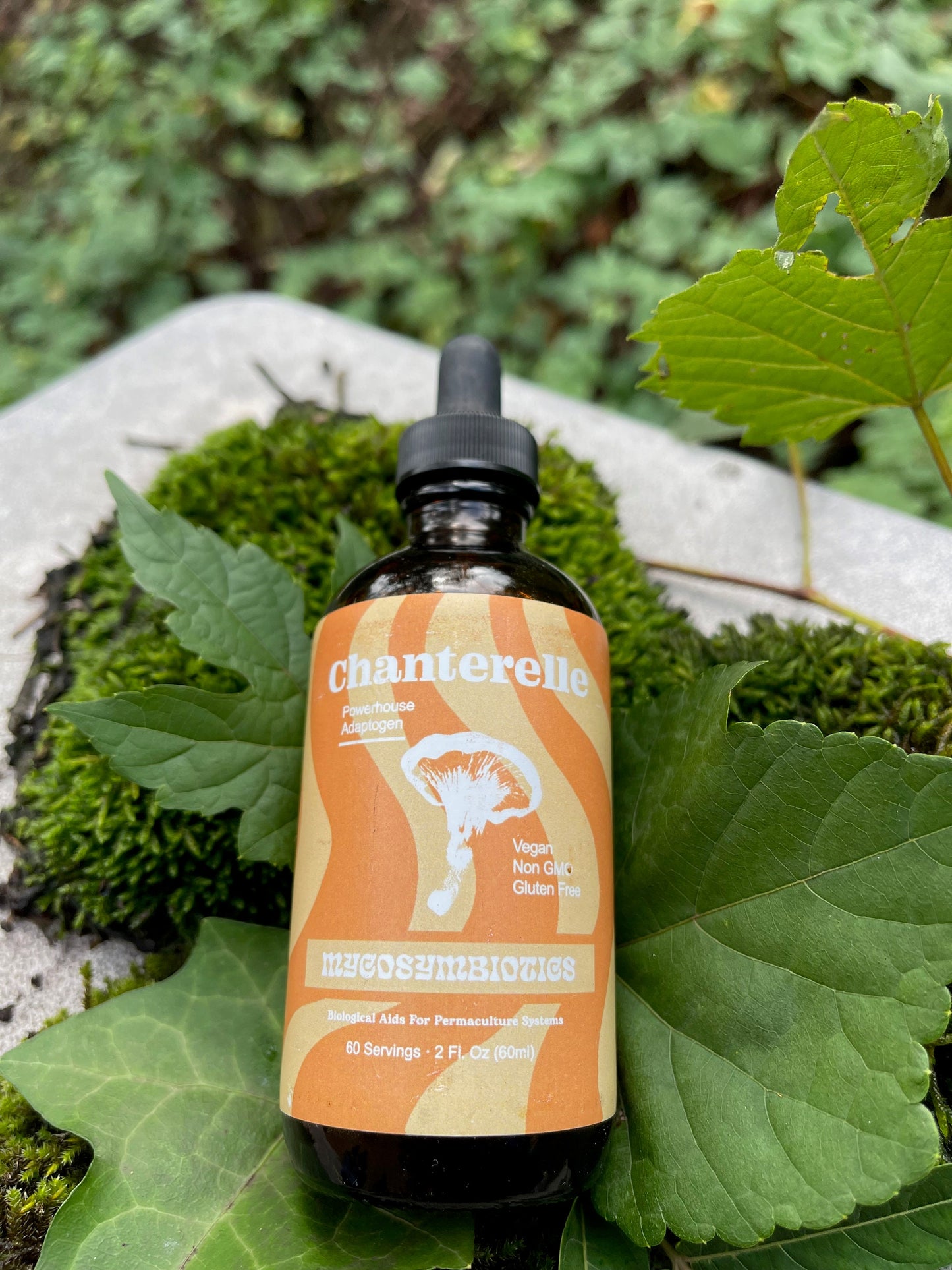 * Mushroom Dual Tincture * (Made in USA)