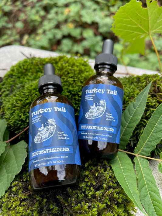* Mushroom Dual Extract* (Made in USA) Tincture & Glycerite