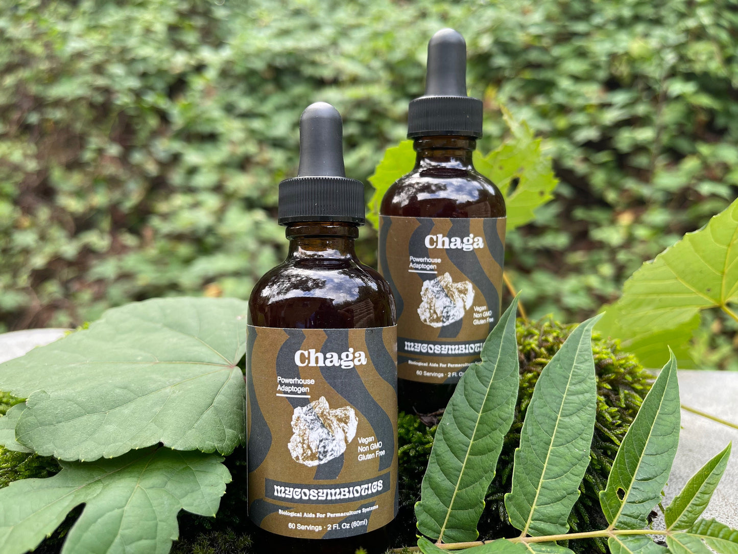 Mushroom Dual Tincture