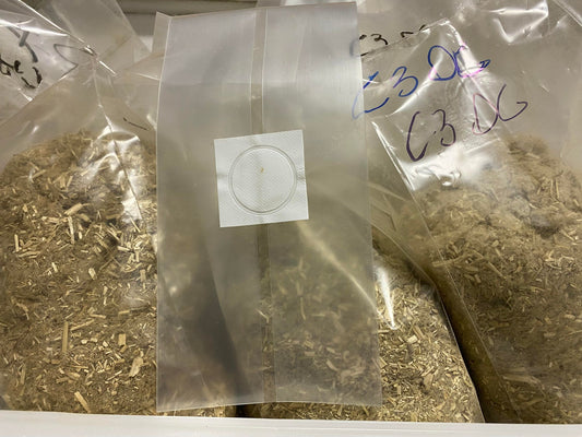 Hemp & Fungi Hybrid Textiles Research with Jefferson University