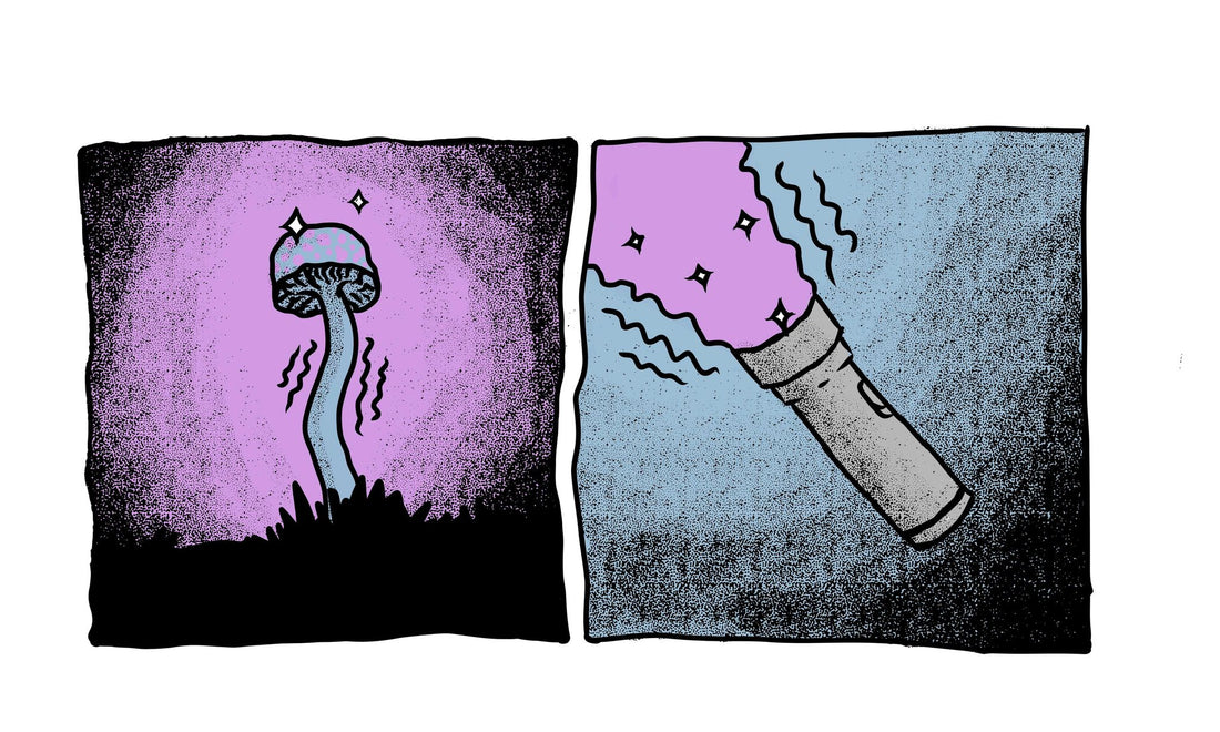 Harnessing UV Light for Detecting Contamination in Mushroom Growing
