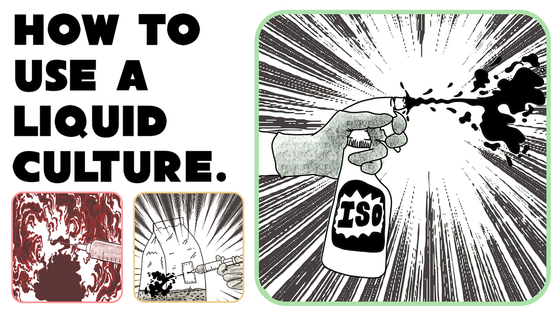 How to Use a Liquid Culture