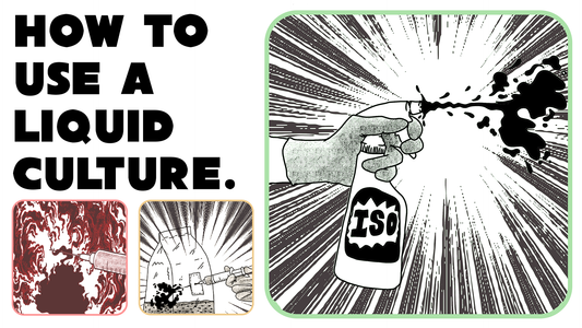 How to Use a Liquid Culture