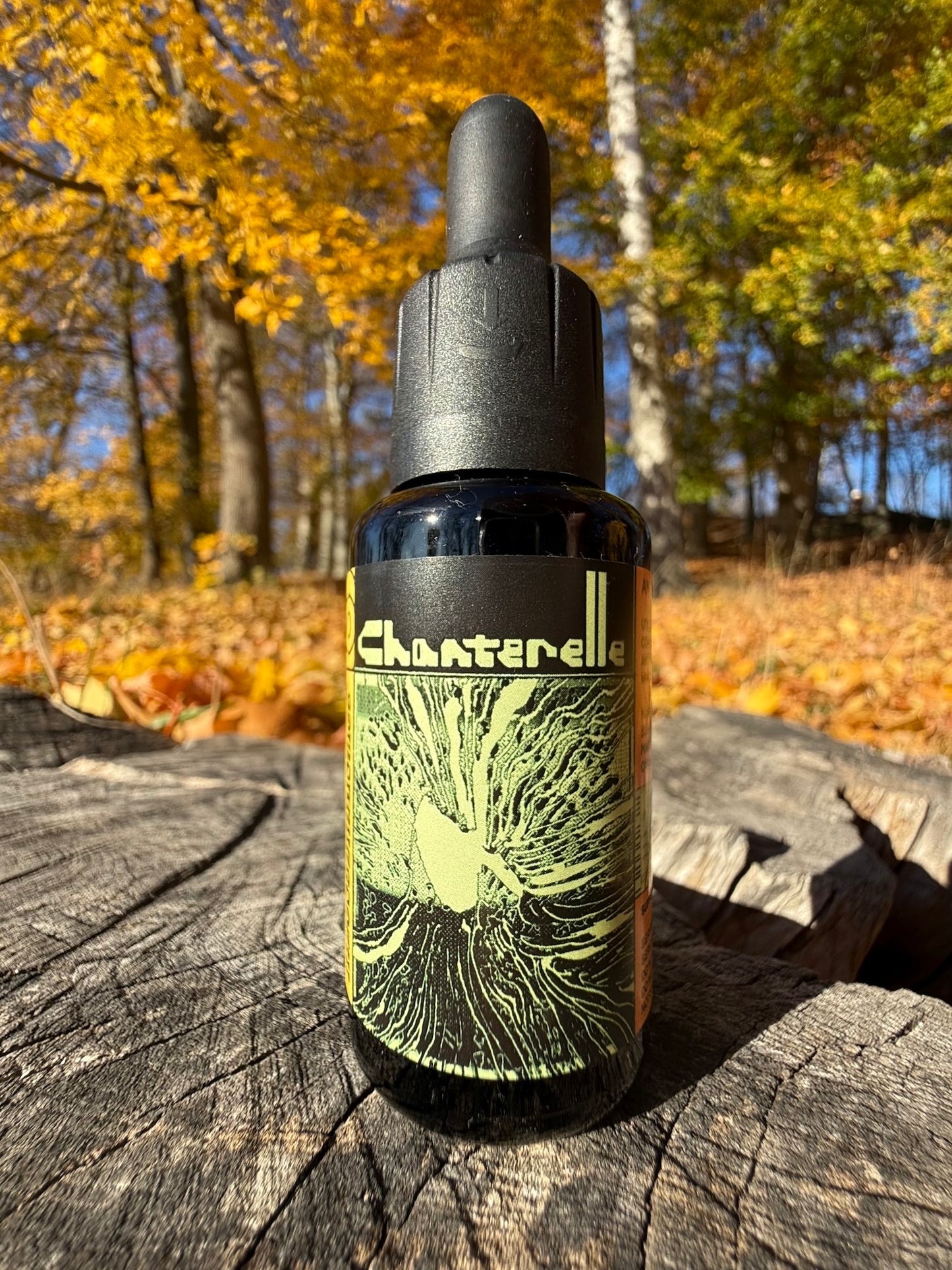 . Mushroom Dual Tincture . (Made in EU)