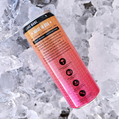 MycoPop Functional Mushroom Energy Drink 4 Pack