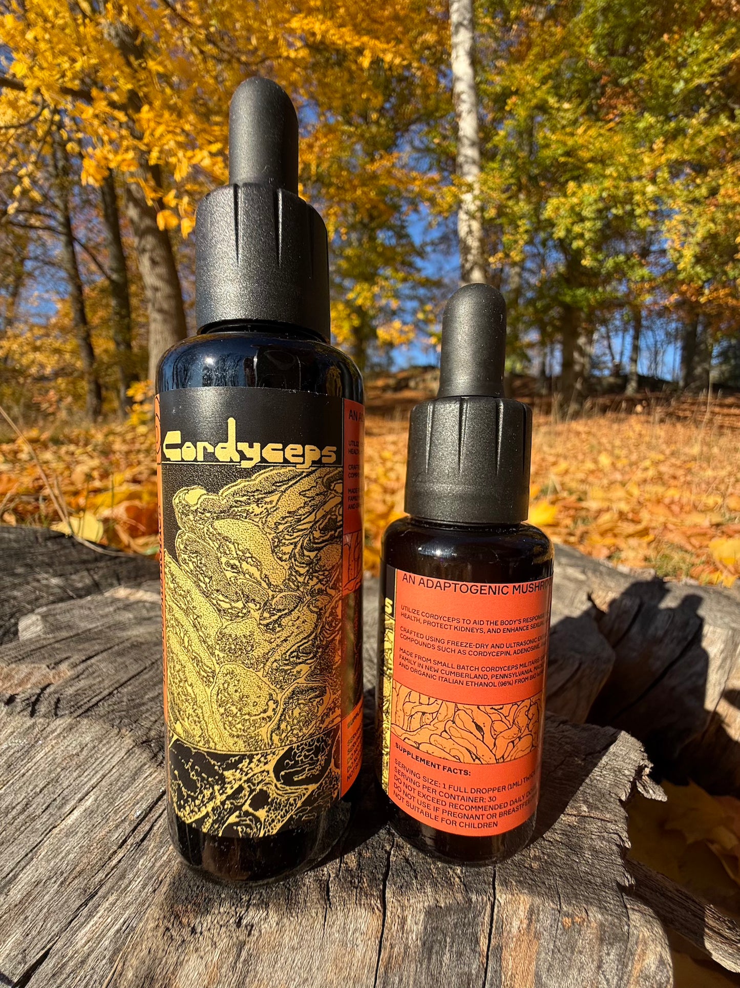 . Mushroom Dual Tincture . (Made in EU)