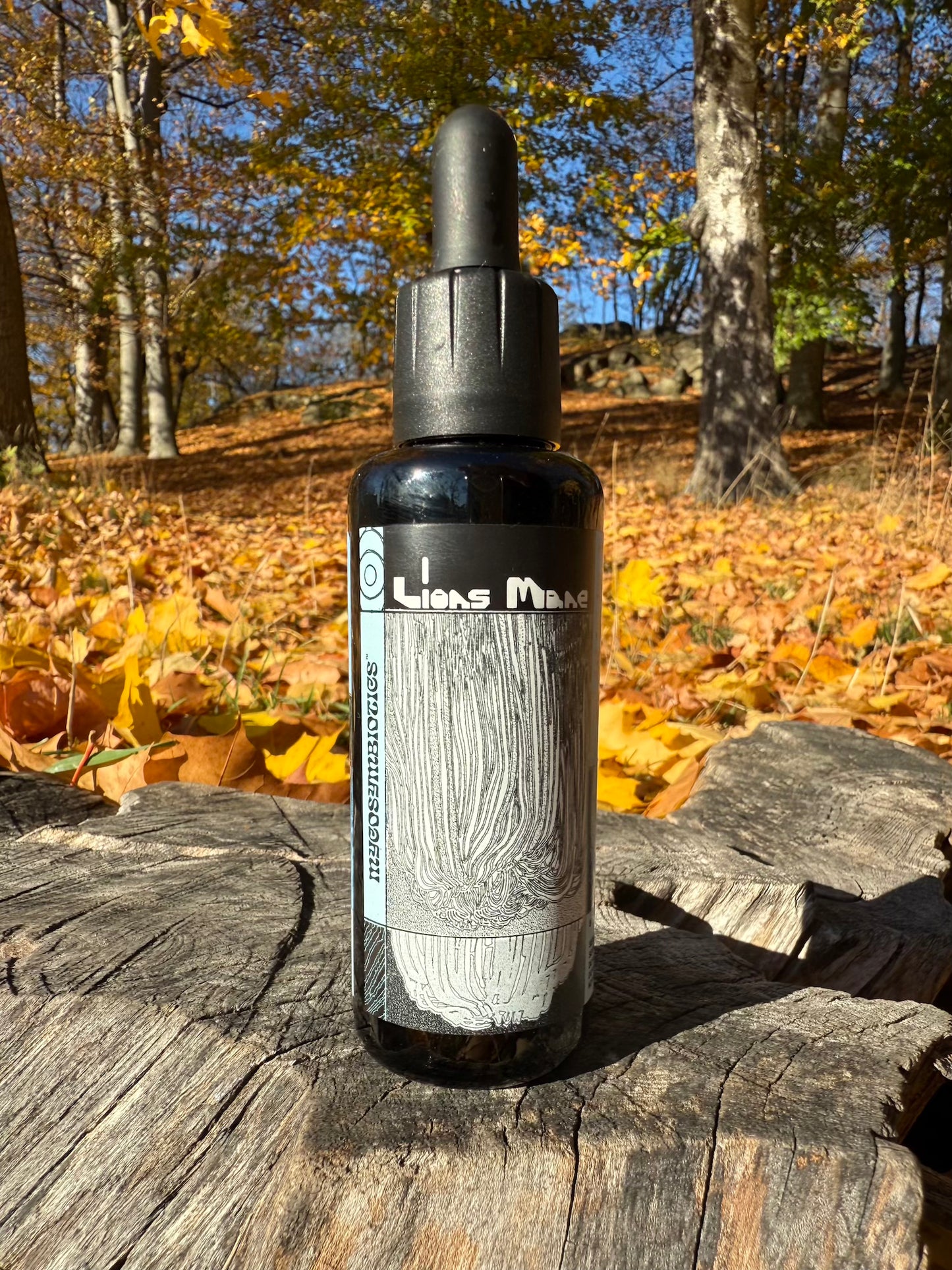 . Mushroom Dual Tincture . (Made in EU)