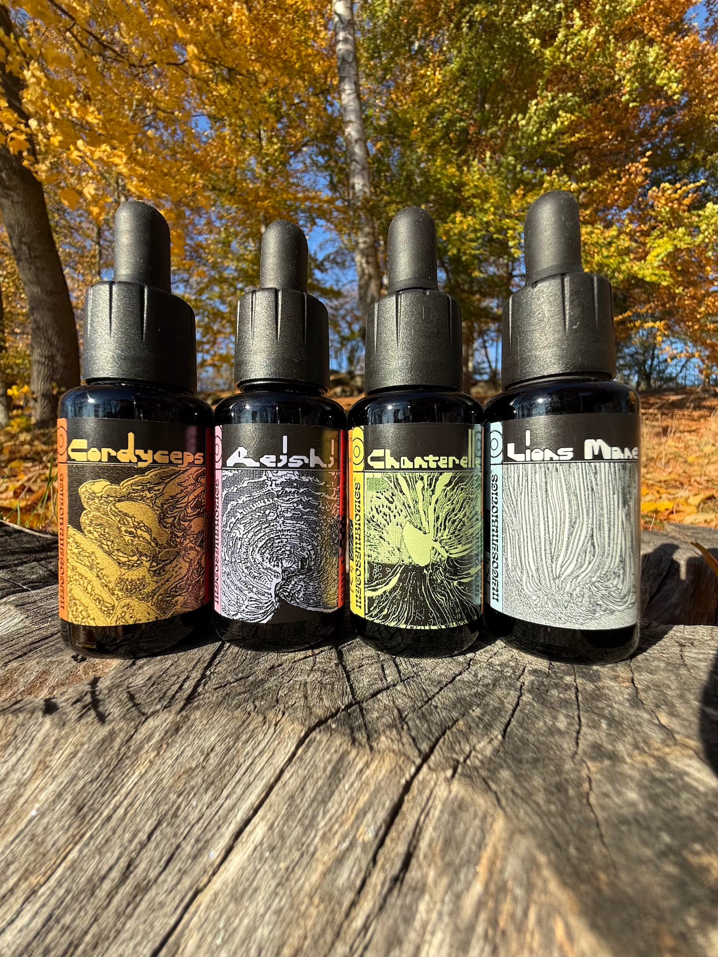 . Mushroom Dual Tincture . (Made in EU)