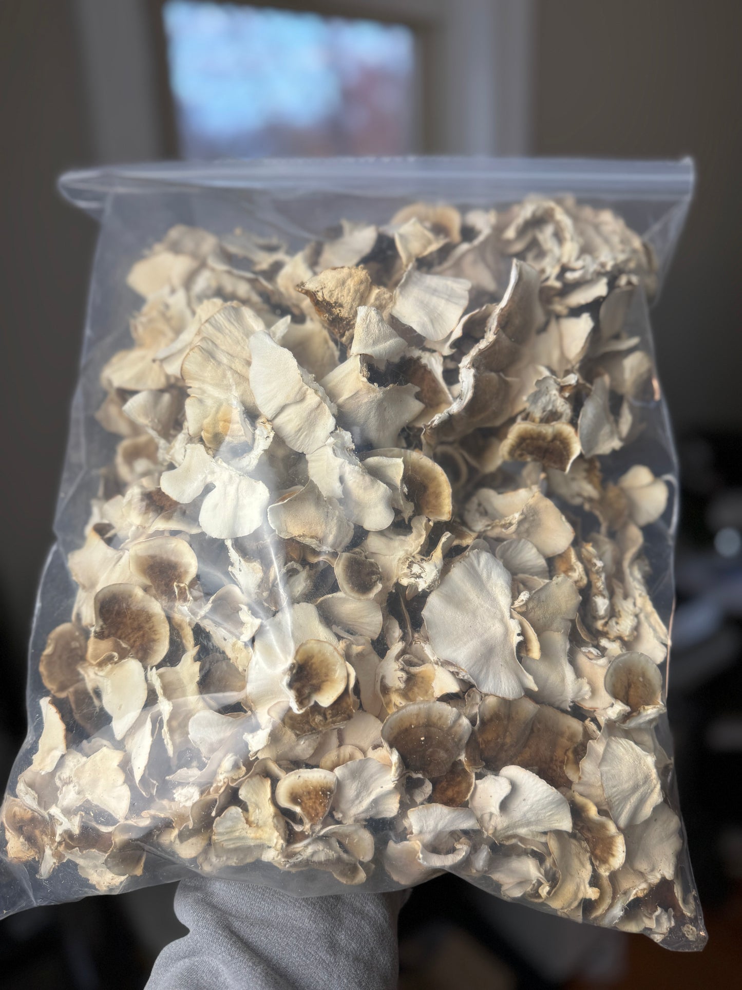 Dried Culinary & Medicinal Mushrooms