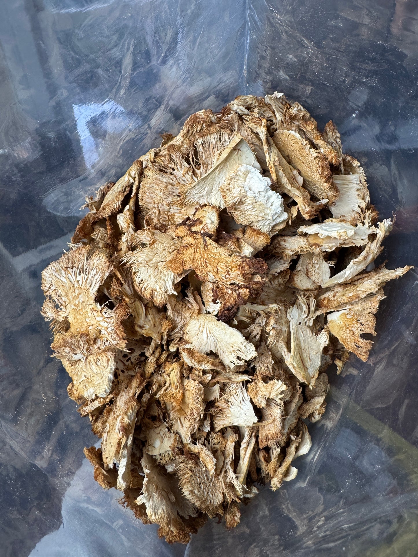 Dried Culinary & Medicinal Mushrooms