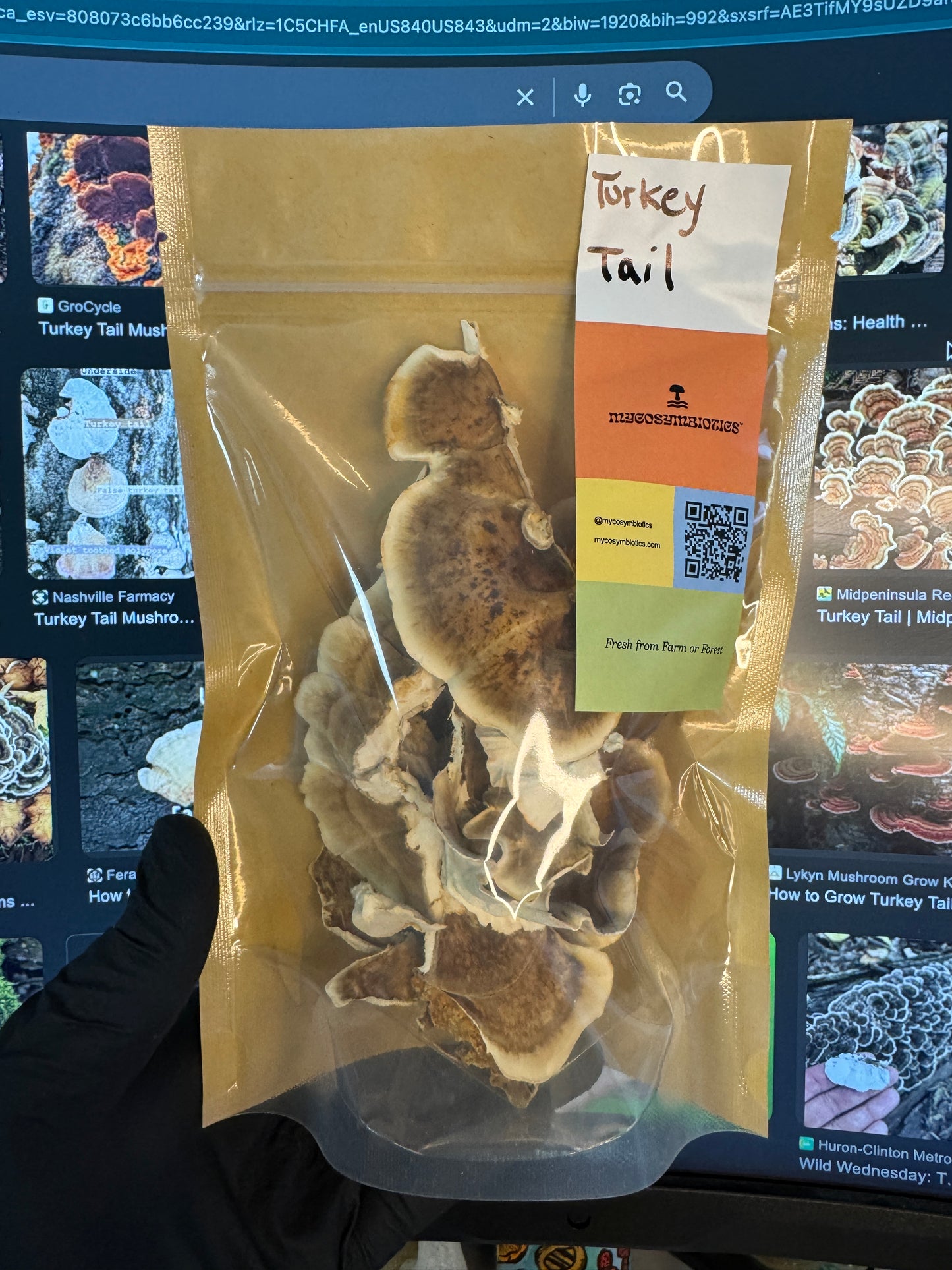 Dried Culinary & Medicinal Mushrooms