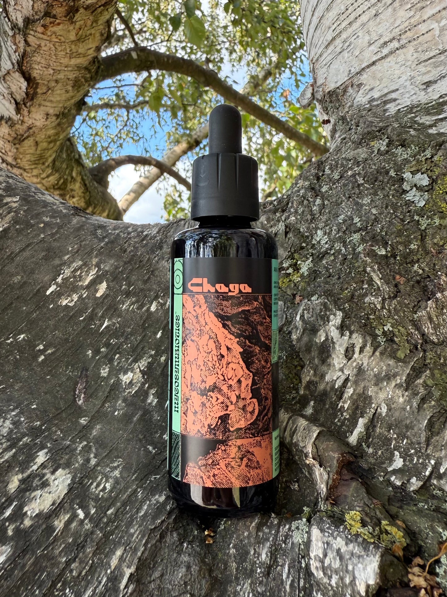 . Mushroom Dual Tincture . (Made in EU)