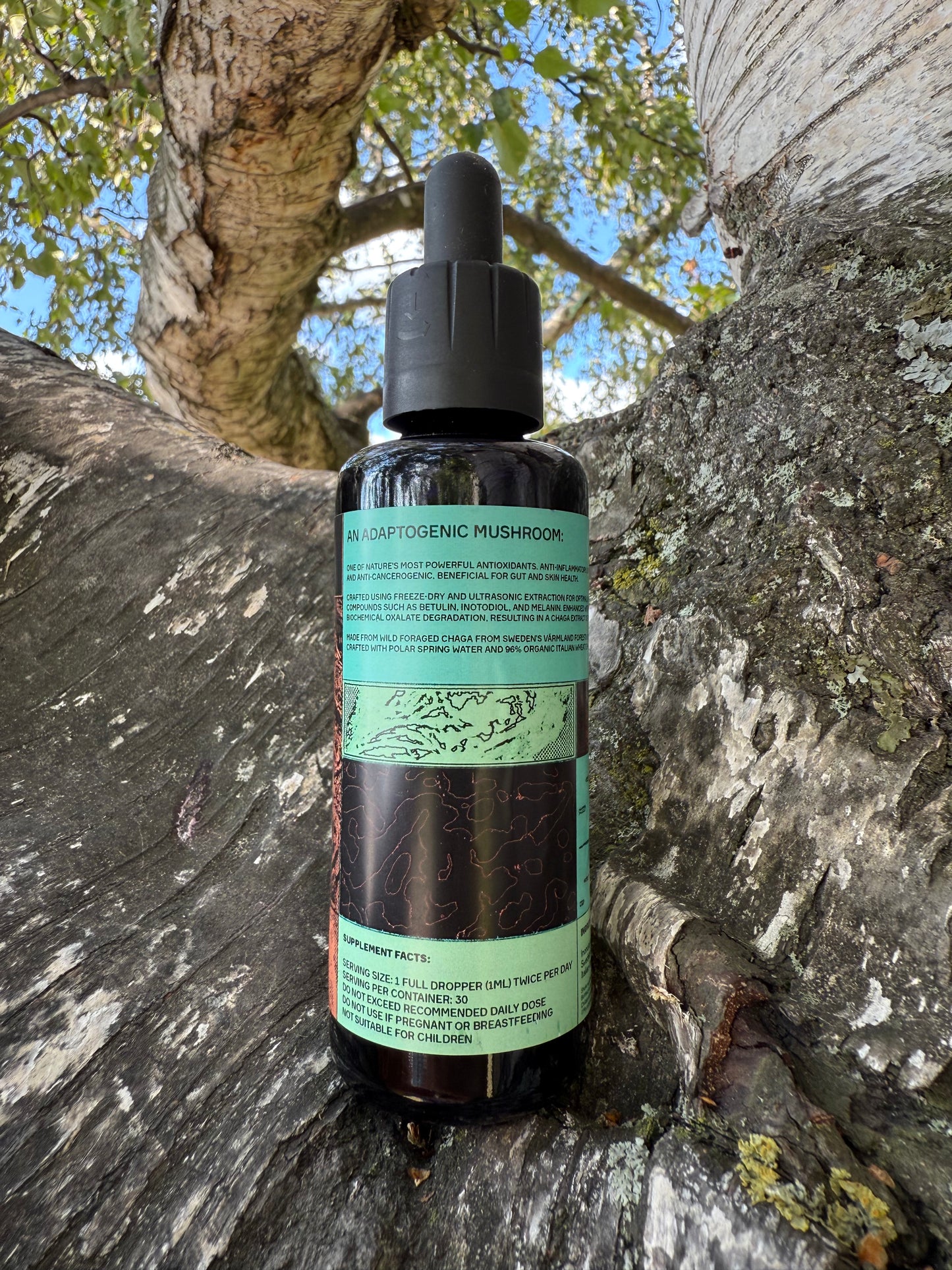 . Mushroom Dual Tincture . (Made in EU)