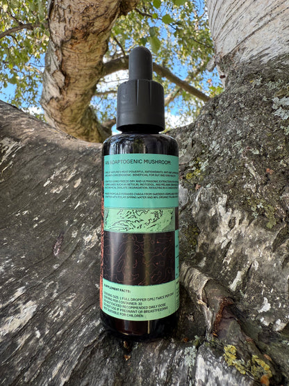 . Mushroom Dual Tincture . (Made in EU)