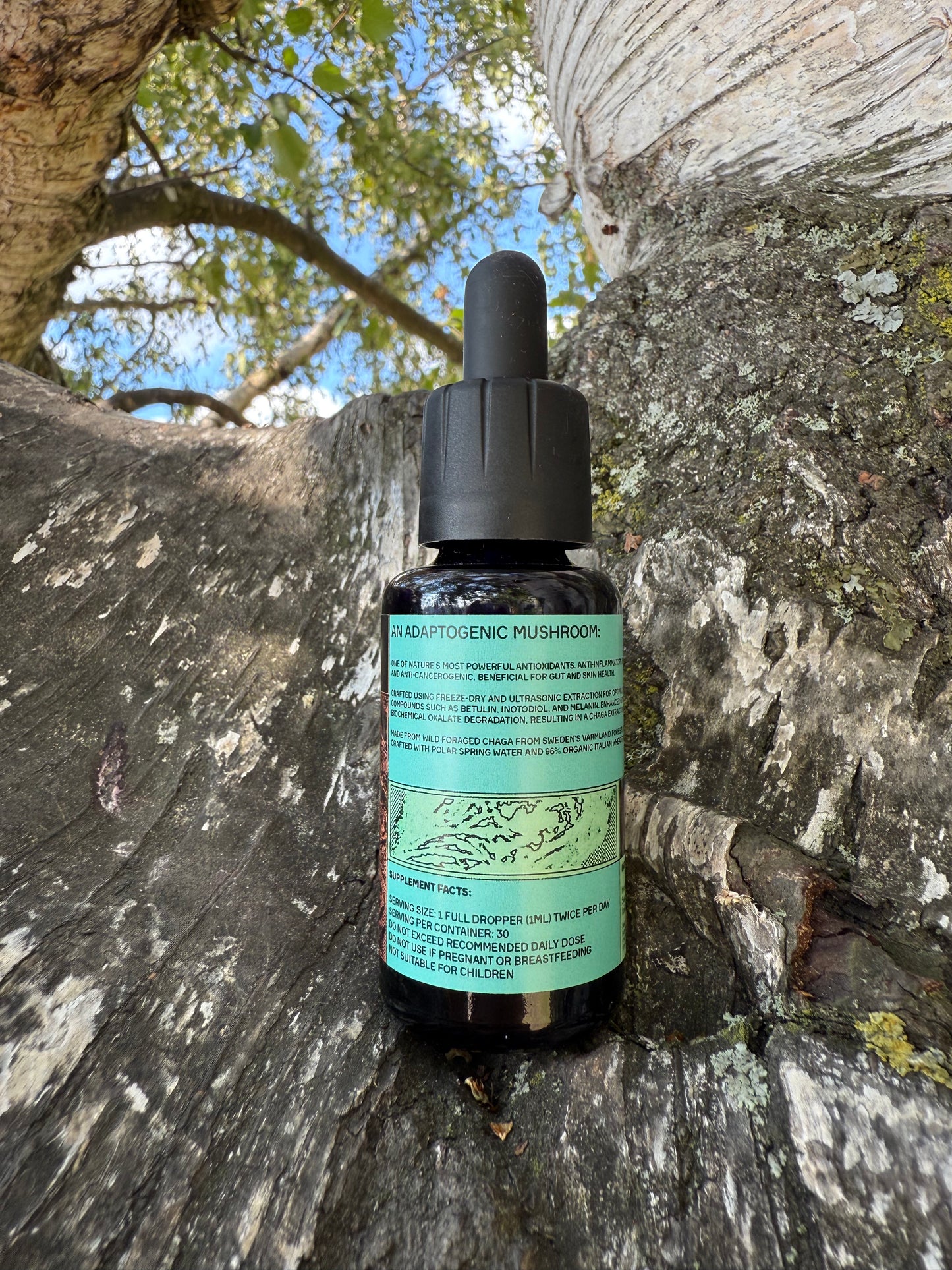 . Mushroom Dual Tincture . (Made in EU)