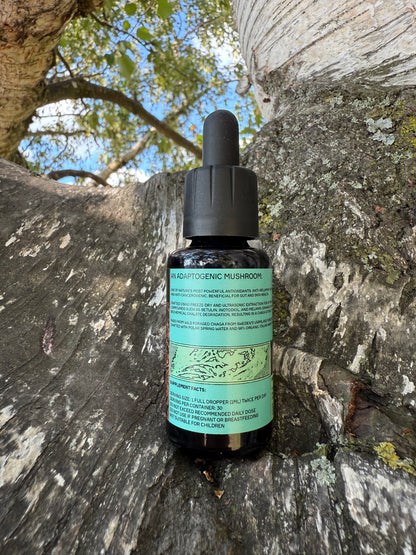 . Mushroom Dual Tincture . (Made in EU)