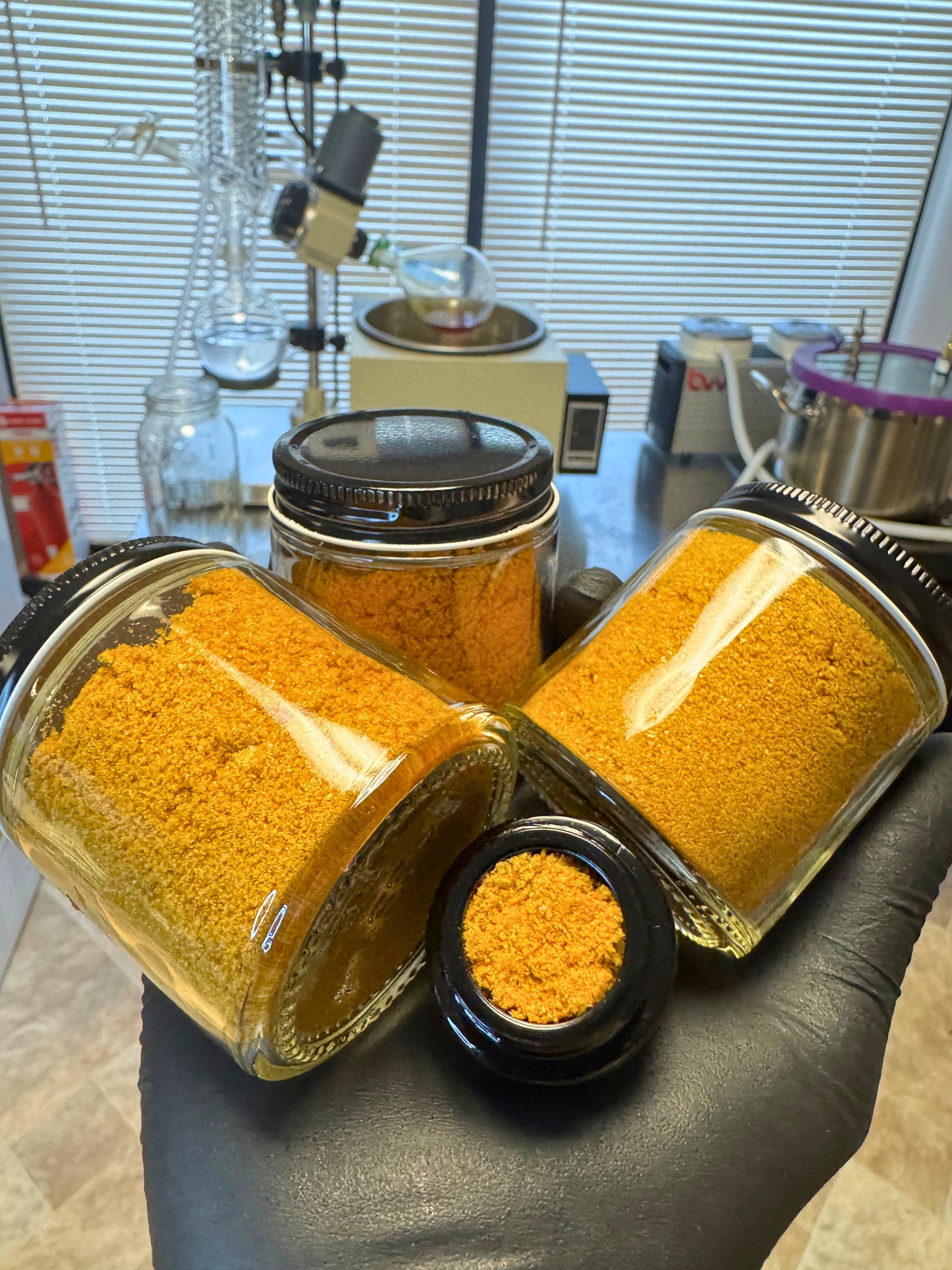 AuriCium™ — Freeze Dried Lion's Mane Fruiting Body Extract