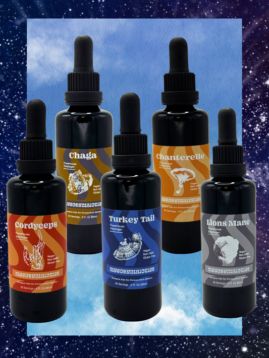 * Standardized * Dual Extract Mushroom Tinctures & Glycerites ( Made in USA )