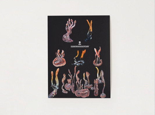 Cordyceps Poster