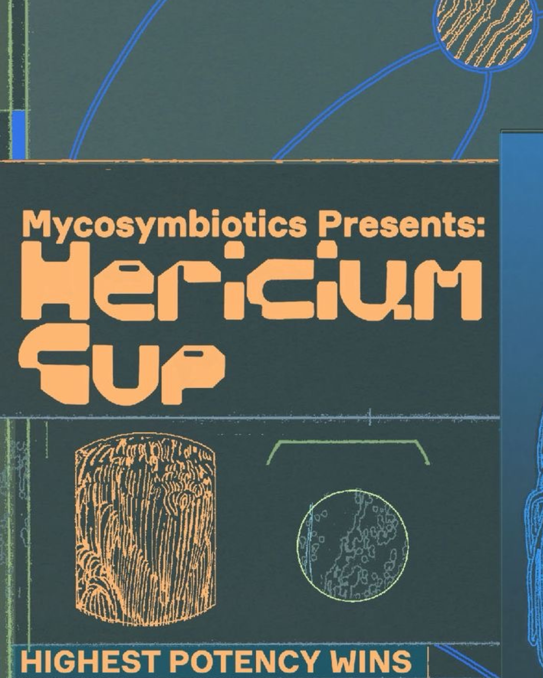 Hericium Cup Entry — Mycelium
