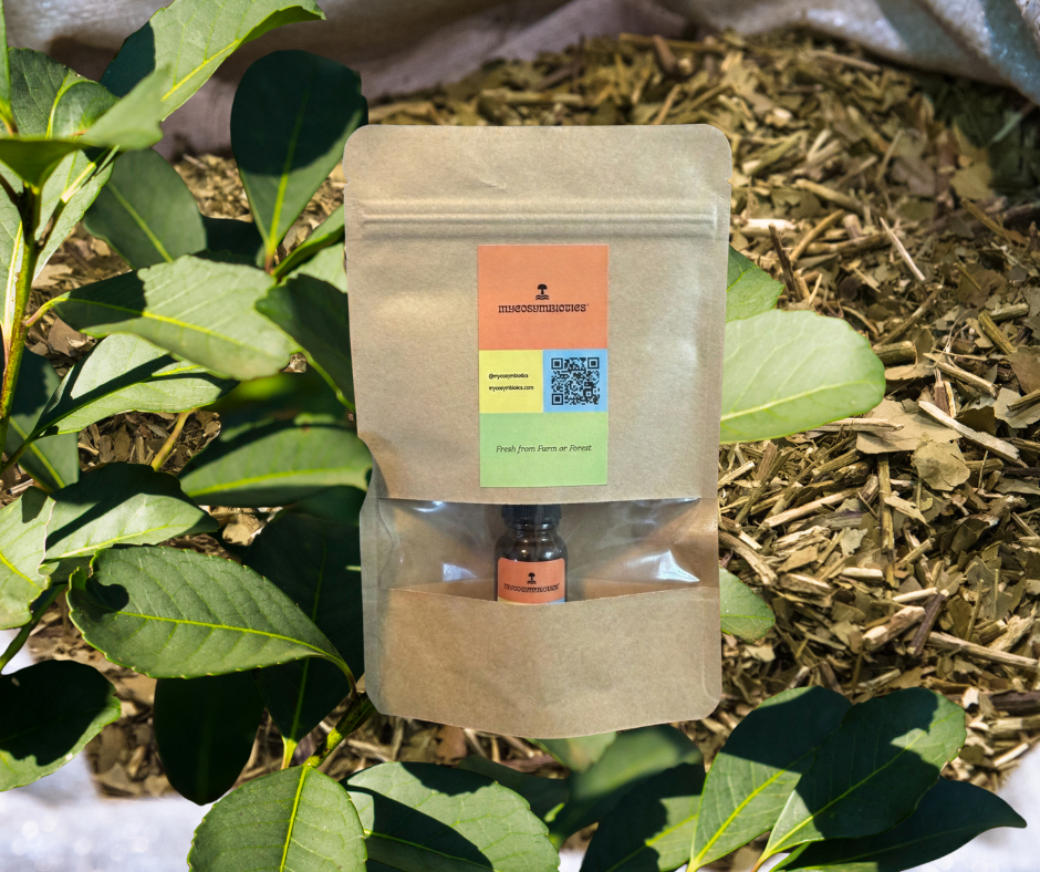 Yerba Mate Dual Extract – 10 mL (Brazilian • Tea Resin)