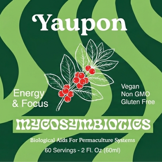 Yaupon Dual Extract – 10 mL (North American • Wild Harvested • Tea Resin)