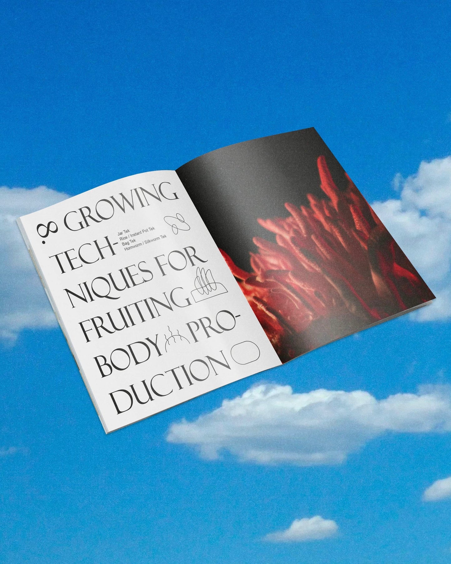 Cordyceps Cultivation Handbook vol. 2 Revised Edition
