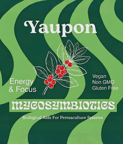 Yaupon Dual Extract – 10 mL (North American • Wild Harvested • Tea Resin)