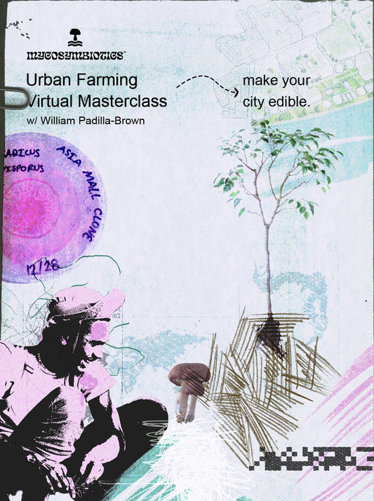MycoSymbiotics' Urban Farming Masterclass with William Padilla-Brown