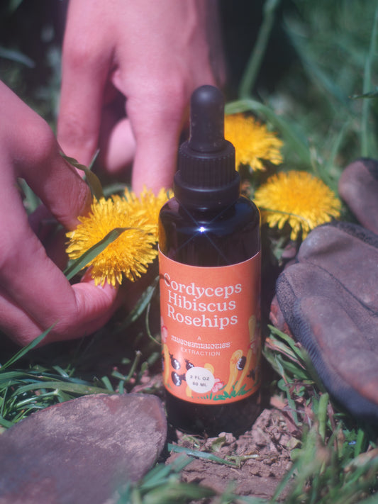 Cordyceps Hibiscus Rosehips Tincture