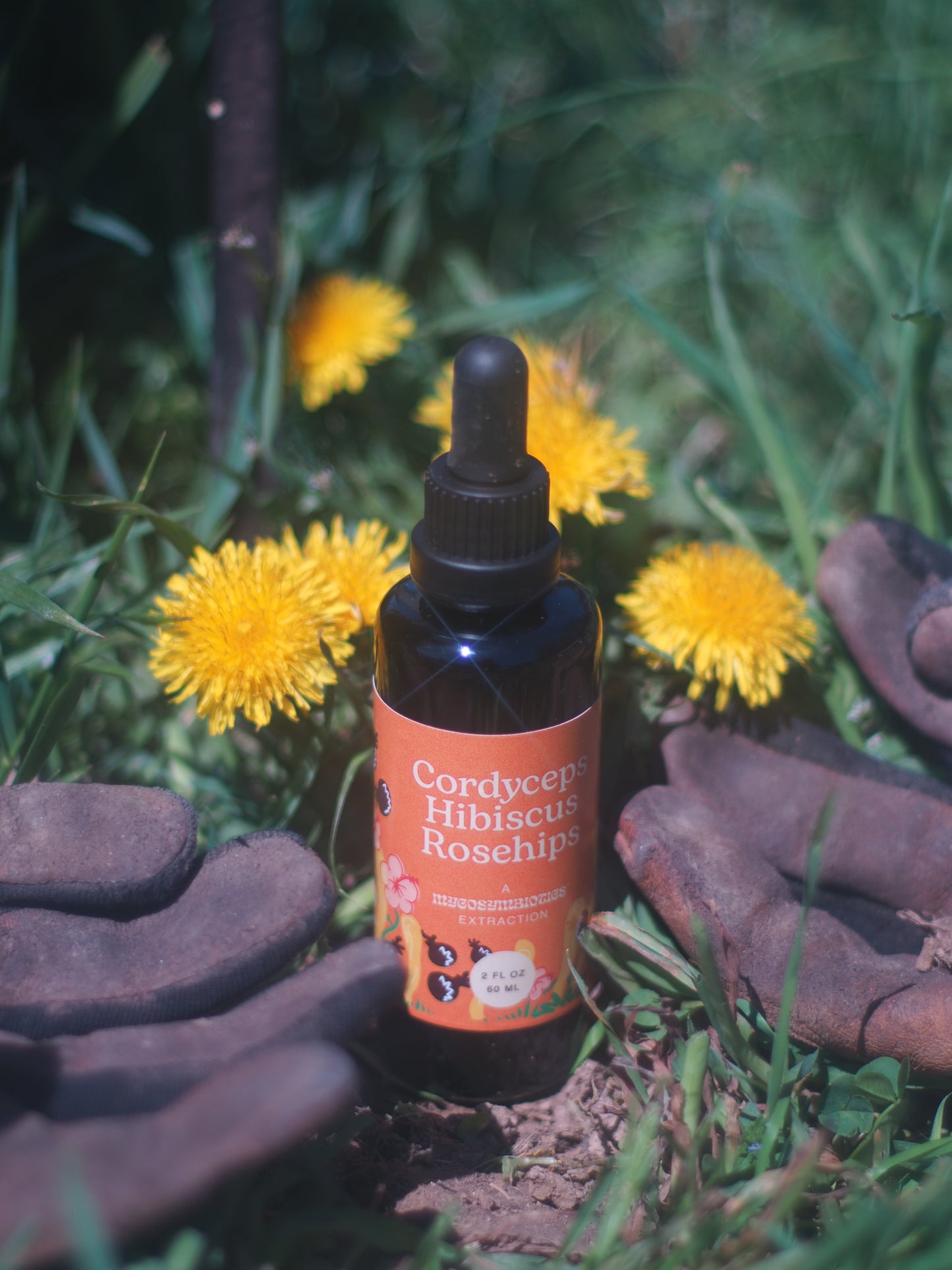 Cordyceps Hibiscus Rosehips Tincture
