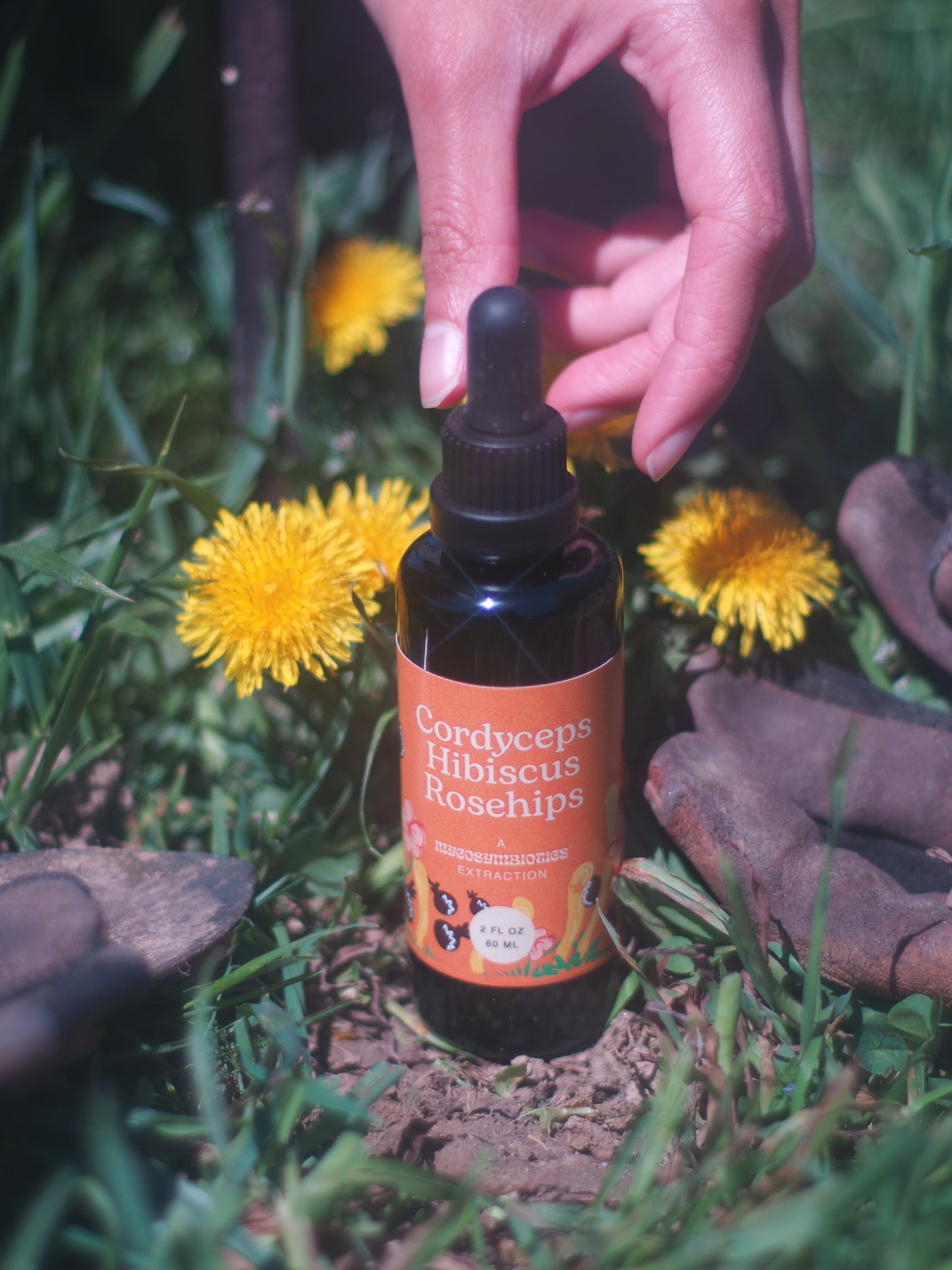 Cordyceps Hibiscus Rosehips Tincture
