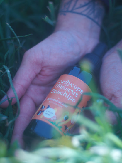 Cordyceps Hibiscus Rosehips Tincture