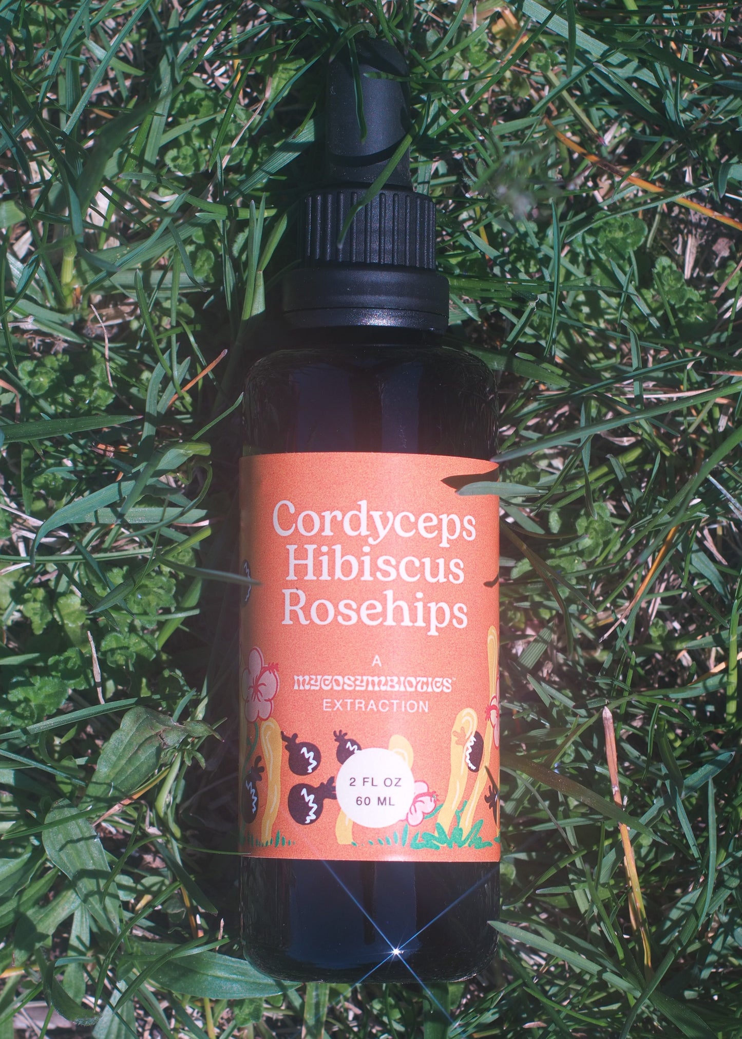 Cordyceps Hibiscus Rosehips Tincture