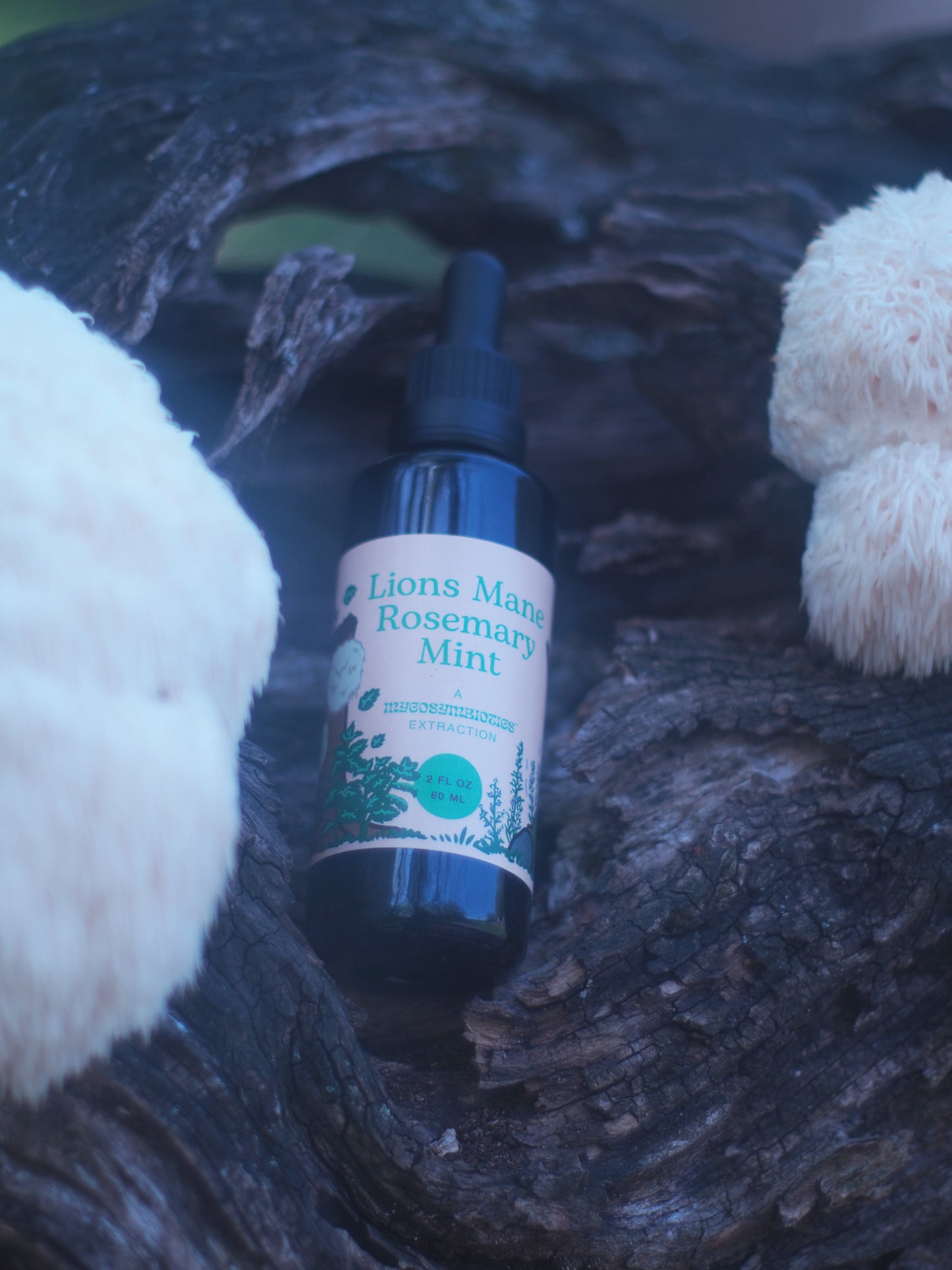 Lions Mane Rosemary Mint Tincture