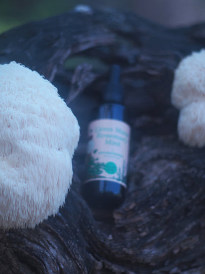 Lions Mane Rosemary Mint Tincture
