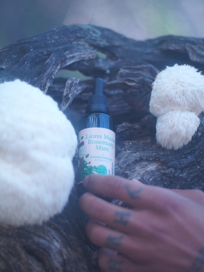Lions Mane Rosemary Mint Tincture