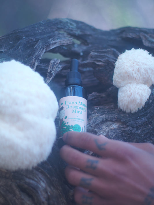 Lions Mane Rosemary Mint Tincture