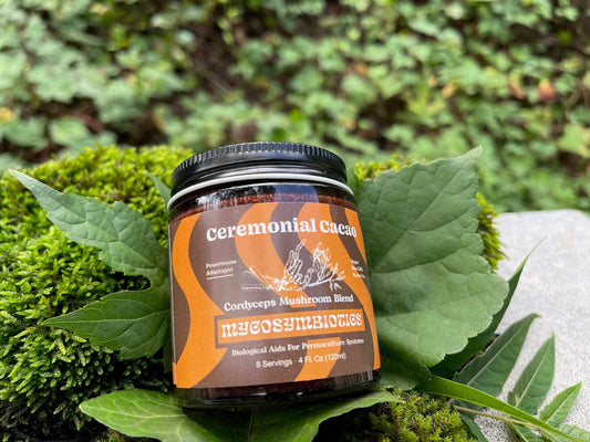 Ceremonial Cacao Mushroom Honey Blend